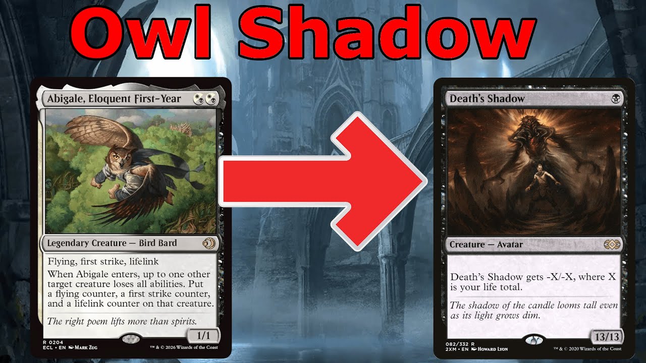 I DON'T BELIEVE HOW WELL THIS WORKED!  Modern OwlShadow MTG