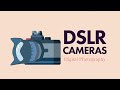 Understanding SLR Cameras