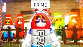 Information The Roblox PRIME Experience 2 Guide