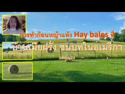 คนไทยในชนบทอเมริกา พาชมการทำก้อนหญ้าแห้ง ชีวิตหญิงไทยวัยเกษียณกับความพอเพียง   Hay bales 28May22