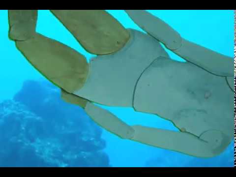 The Pearl Diver - YouTube