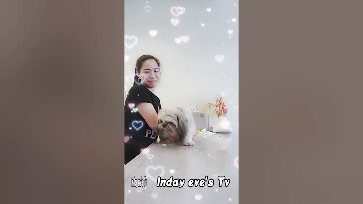 meet the puppies they are so  Cute🥰 Aurora & Skye| Puppy|Cute|Inday eve's Tv