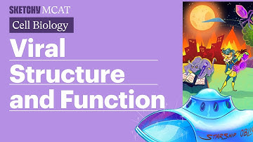 Viral Structure & Function: Capsids, Viral Envelopes, Genetic Material (Full Lesson)  | Sketchy MCAT