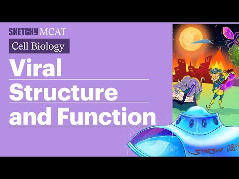 Viral Structure & Function: Capsids, Viral Envelopes, Genetic Material (Full Lesson)  | Sketchy MCAT