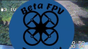 Beta75 acro ripping/Beta65s tree surfing!