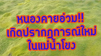 Ready go to ... https://youtube.com/playlist?list=PLvH5C_Q_WRcgmsJgUX57B1kY3qmKbPykn [ à¸ à¸±à¸¢à¸à¸´à¸à¸±à¸à¸´à¹à¸¥à¸à¸£à¹à¸­à¸ à¸ªà¸ à¸²à¸§à¸°à¸­à¸²à¸à¸²à¸¨à¹à¸¥à¸]