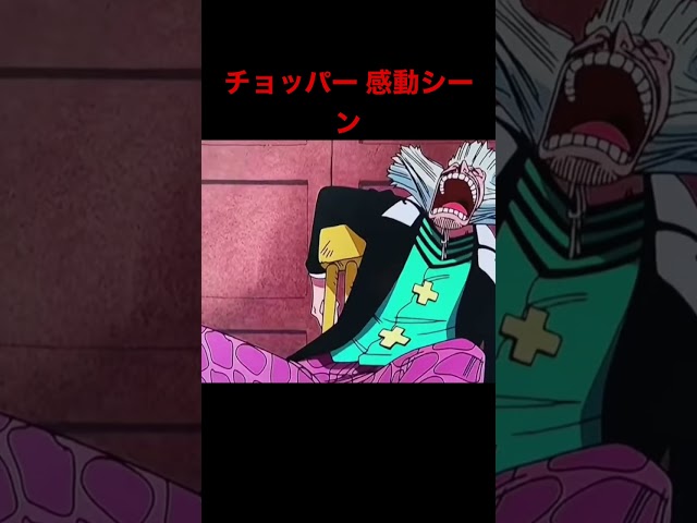 One Piece チョッパー 感動シーン ワンピース チョッパー Youtube