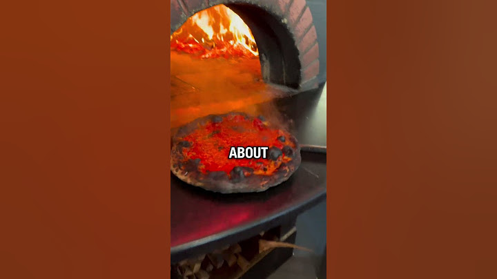 Is This Pizza Too Burnt? 🍕