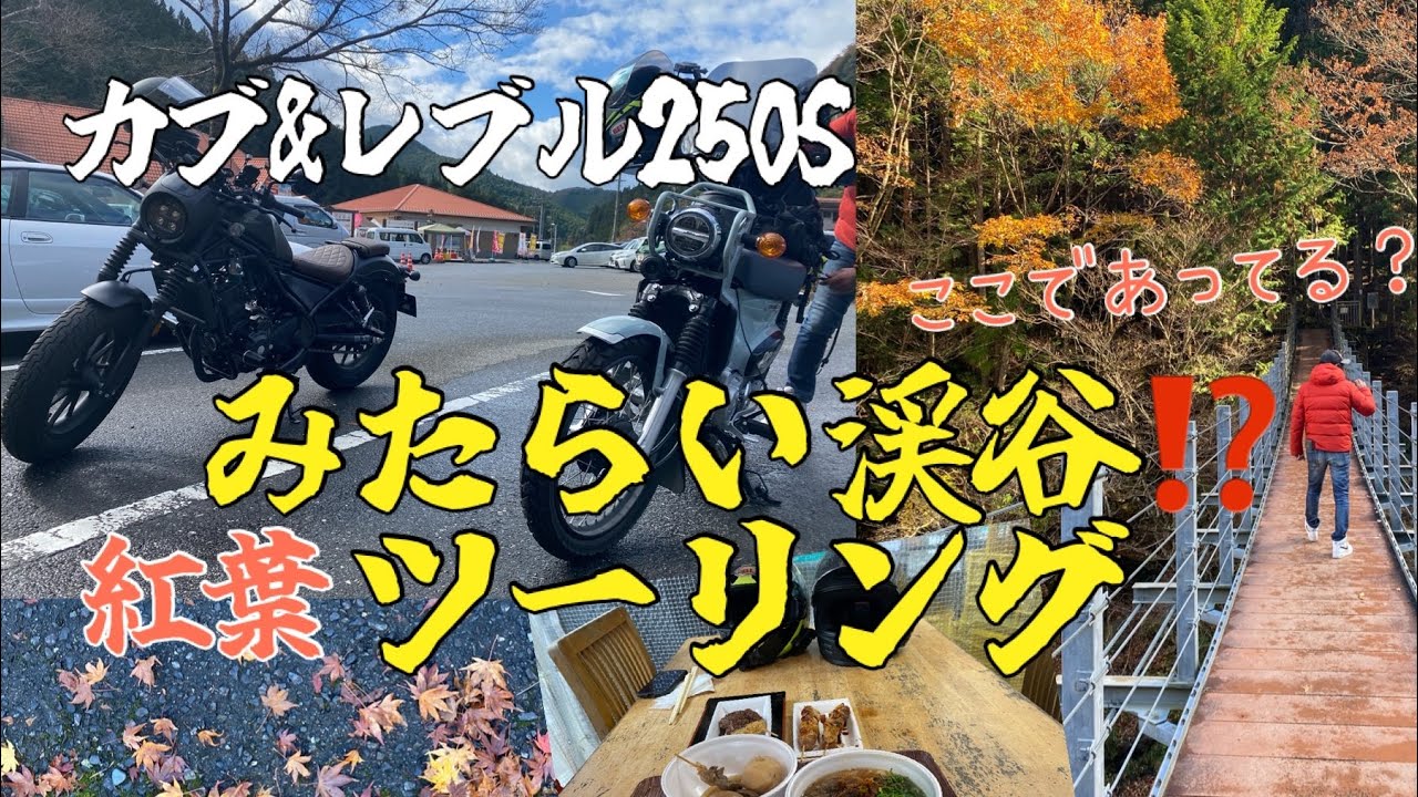 夫婦ツーリング みたらい渓谷へ紅葉を見に行ってきました レブル250sエディション クロスカブ110プコブルー Youtube