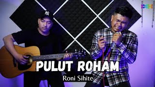 Pulut Roham - Roni Sihite (Cover By Ricky Hutapea ft Erwin Bancin) Lagu Batak Versi Akustik