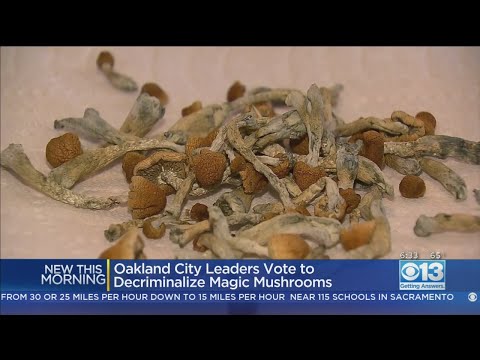 Vidéo: Oakland Légalise Les Champignons Magiques