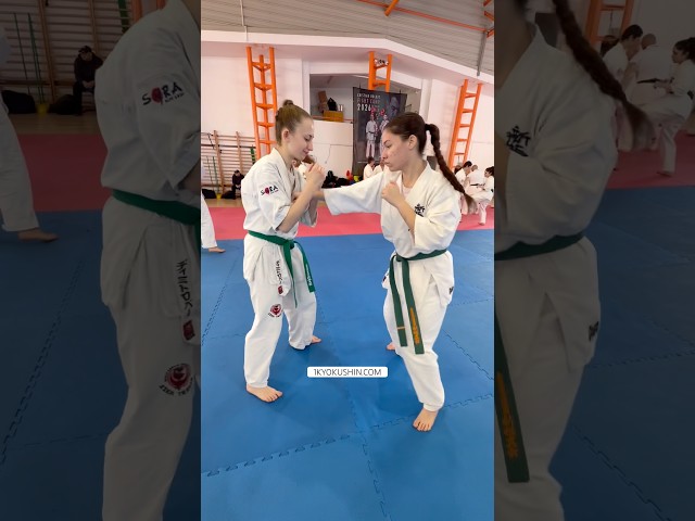 Cristian Boldut Fight Camp 2026 #kyokushin #shinkyokushin #karate #1kyokushin #一極真 #極真会館