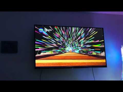 Dinosaur train time tunnel season 1 purple sea