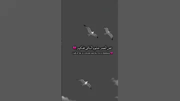نص العمر حلم والبافي تفكير أستوريات حسينية أستوريات قصيرة حالات واتساب دينيه حالات انستقرام دينيه 