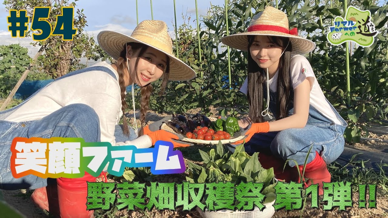 54『RINGOMUSUMEの産地直送 日本最高!!』笑顔ファーム野菜畑収穫祭