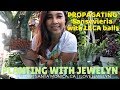 Planting with Jewelyn: Propagating Sansevieria with LECA balls | April 2019 | ILOVEJEWELYN