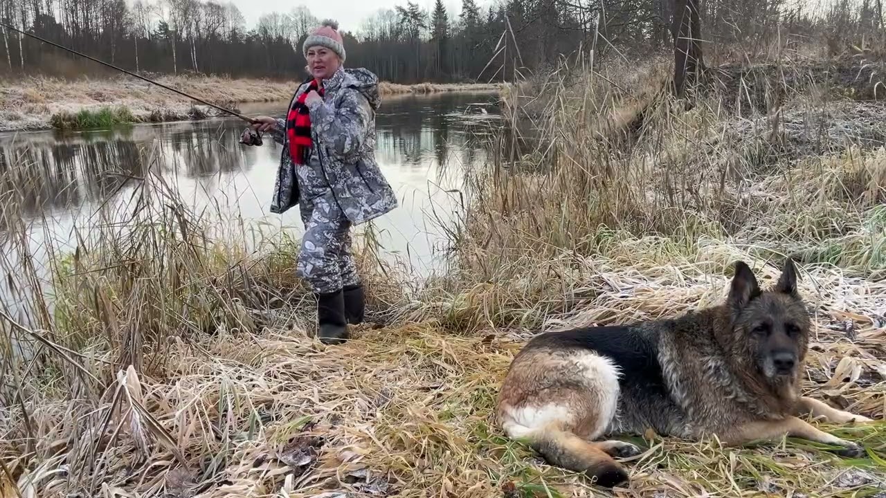 Закрытие осеннего сезона!Река Дрисса)