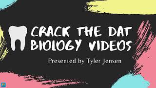 DAT Exam Biology Prep Crash Course Lesson 1d   Nucleic Acids (CrackDAT.com)