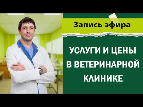 Услуги и цены в ветеринарной клинике