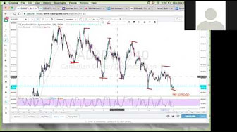 Adaeze duncan forex