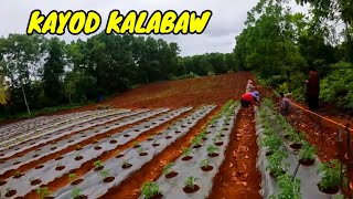 P11 - MAGTANIM AY DI BIRO - EP62