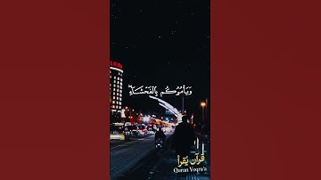 الشيطان يعدكم الفقر #سورة_البقرة #القرآن_الكريم #فارس_عباد #اكسبلور #راحة_نفسية #لايك #تلاوة_خاشعة