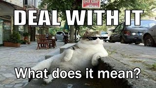 Learn English With Memes Deal With It