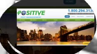 Moth Exterminator NYC - Positive Pest Management