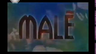 MALE' 1999 - 2019 VIDEO SIGLA