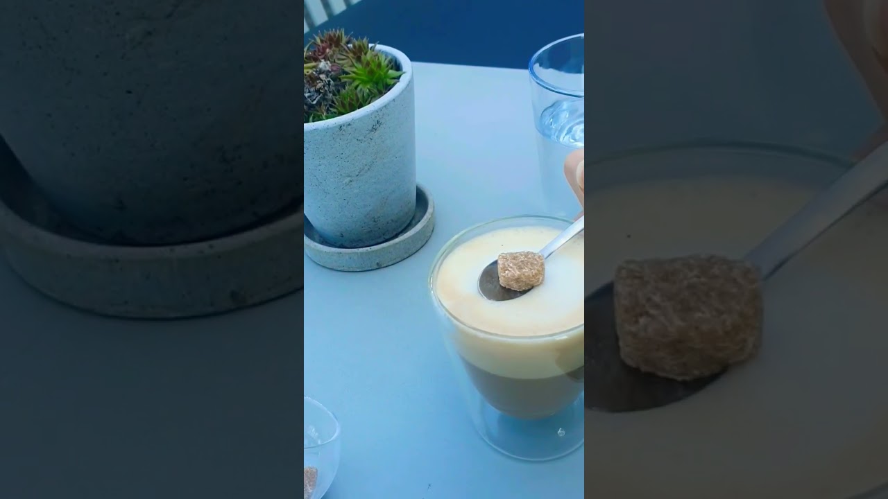 oat milk  latte at Zoku, Paris ... How thick is this foam ?!?! 