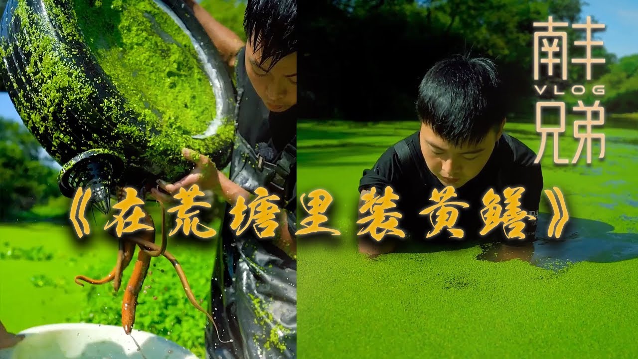 【南豐兄弟捕魚VLOG】用廢棄輪胎在荒塘裏裝黃鱔，沒想到塘裏還有這種大貨…