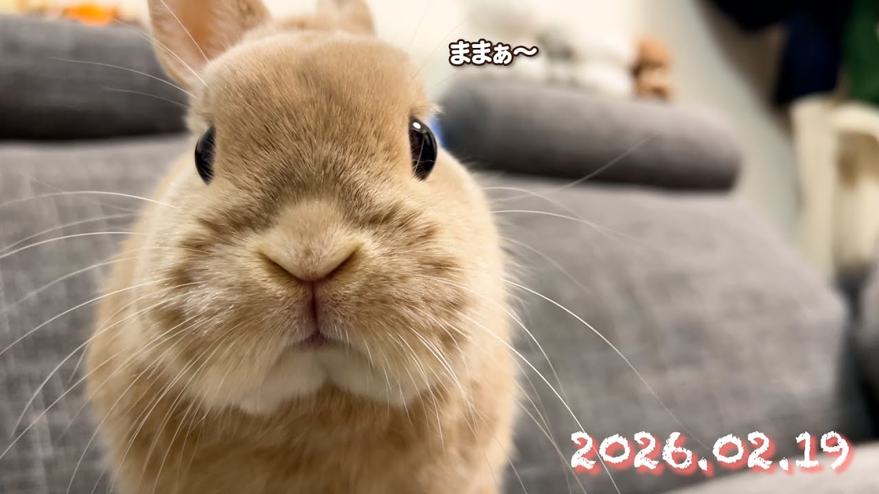 続！激甘えんぼちゃんモード🎀ママを見つけて駆け寄ってくる姿にキュン