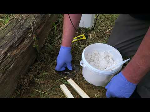 Vidéo: Comment tuer les termites dans le sol ?