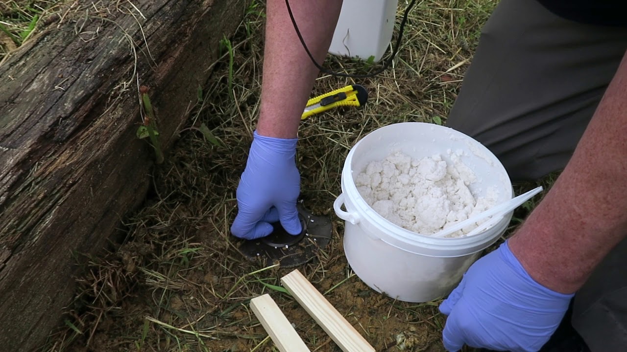 Traitement curatif par pièges termites, boîtiers et matrices de sol à l — free download