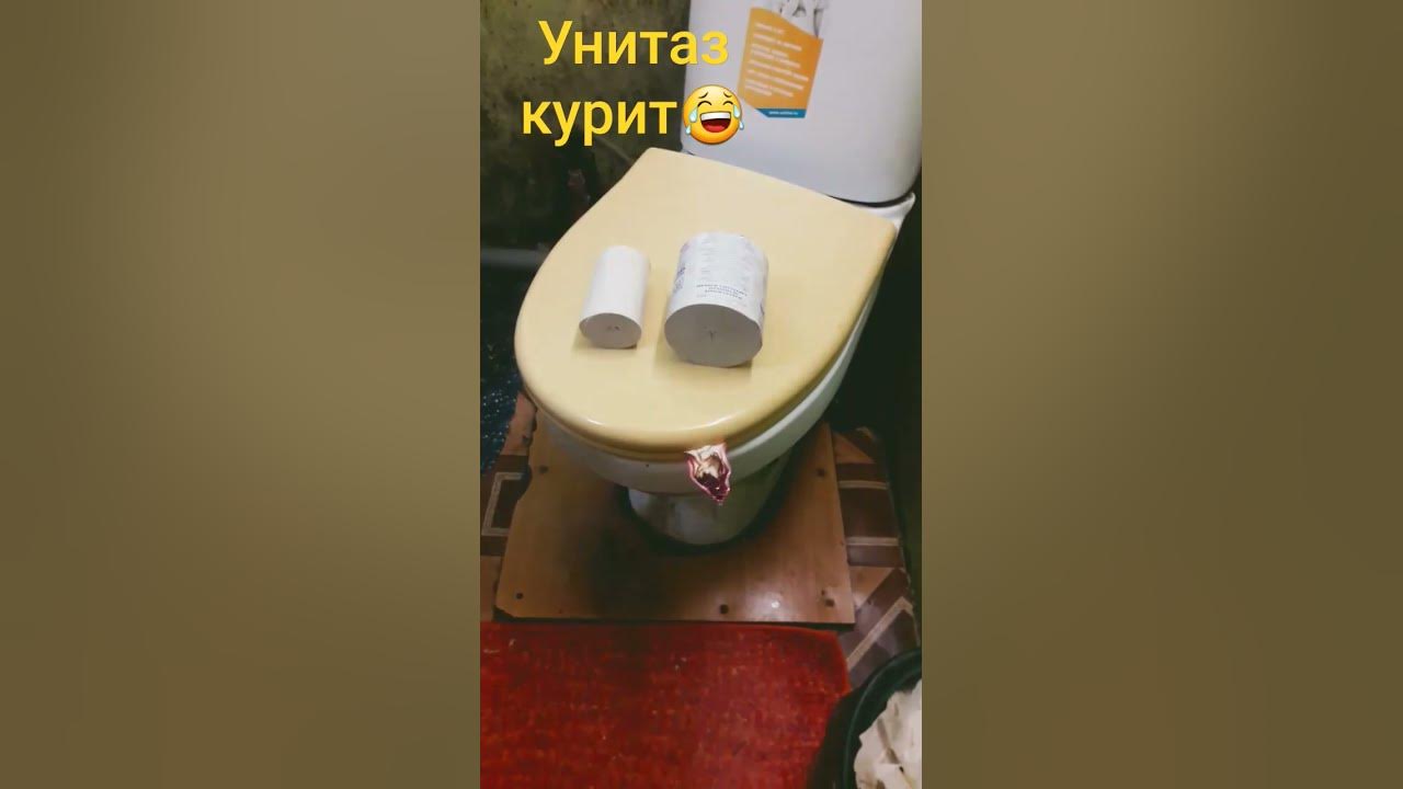унитаз курит😂 - YouTube