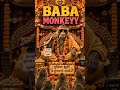 BABA MONKEY  Ka Pravachan! Sachai Jo Sabko Hila De |#monkeybaba#funnymonkey#bandarcomedy #monkey