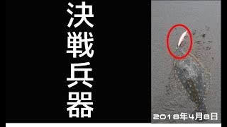 鹿島灘サーフ　魚道１１０MDで釣れました