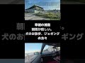 早朝、道の駅湘南ちがさき　#道の駅 #湘南