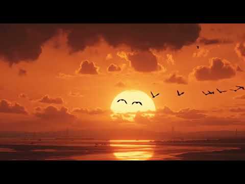 Rock Con Cò | Alternative Rock / World Music (Giọng Nam Trầm Rõ Lời)