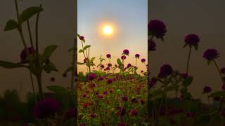 Now Video Yrel,Yrel Hots,Yrel Gameplay,Yrel Guide,Video,Yrel Build,Yrel Talents,How To Yrel,Hots Yre