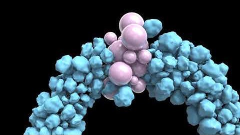 Basic RBD Morph - Houdini