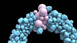 Basic RBD Morph - Houdini