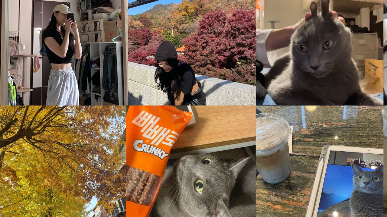 [vlog] 대학원생 브이로그ㅣ임상심리 대학원ㅣ카페공부ㅣ고양이집사ㅣ운동