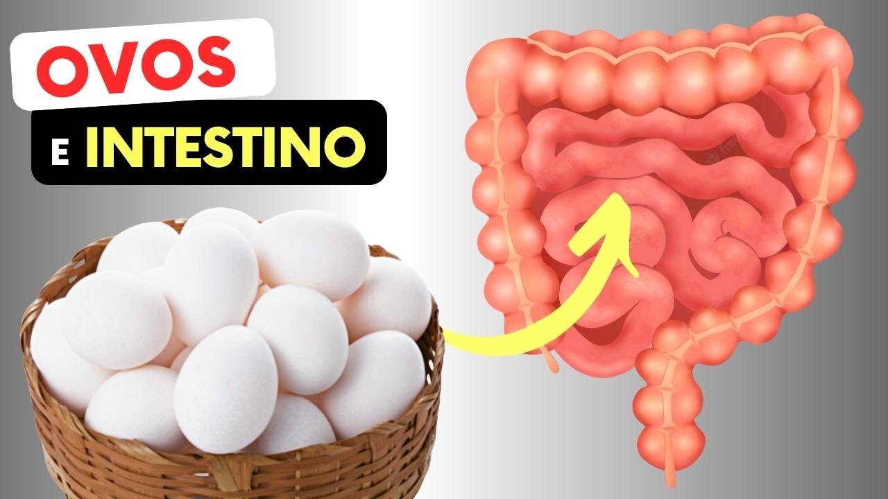 OVOS e INTESTINO - O que você PRECISA SABER! - YouTube