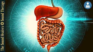Stomach Colon & Digestion I Sound Therapy Rife Frequencies I Exploring Energy Frequencies
