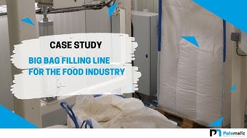Big bag filling machine - FlowMatic® 04 - Automatic unit | Palamatic Process Inc.