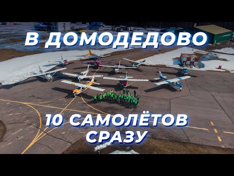 ФЛЕШМОБ: Прилетели в Домодедово на десяти самолётах сразу