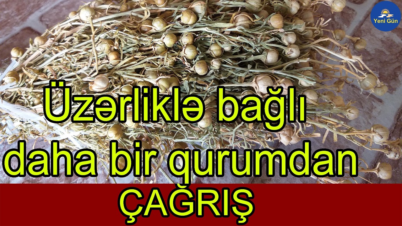Üzərliklə bağlı daha bir qurumdan   Çağırış