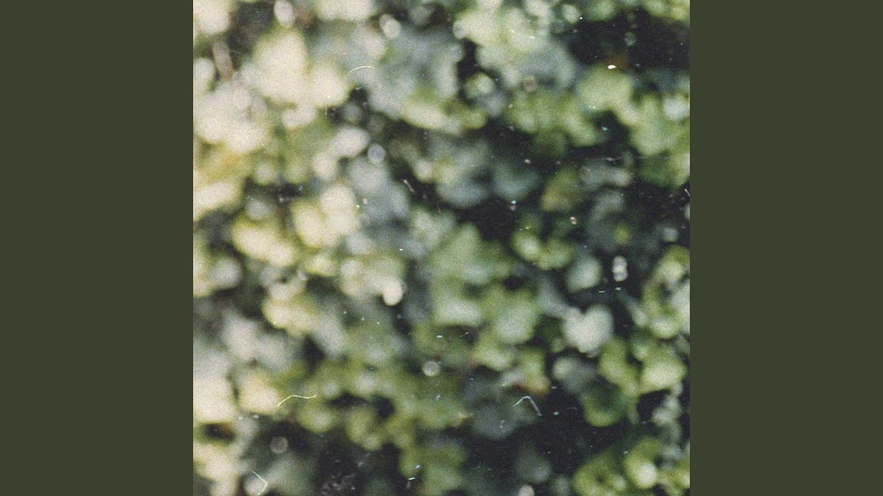 YouTube에서 Memory's Wavering Echo 보기 YouTube에서 Memory's Wavering Echo 보기