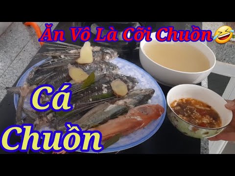 Video CÁ CHUỒN ĂN VÀO CÓ THỂ CỞI CHUỒN MÓN ĂN NGON 2023 - youtube